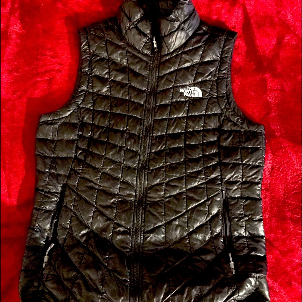 The north face vest